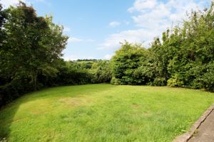 Photo 24- click for photo gallery